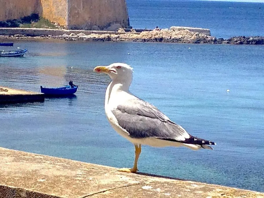 Lato Nord Il Rosso Vicino Al Mare Apartment Trapani